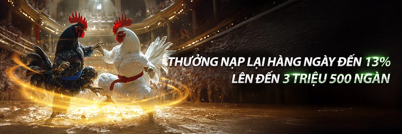 Đá gà c3 ngày 27 – Sân đấu kịch tính tại qu88